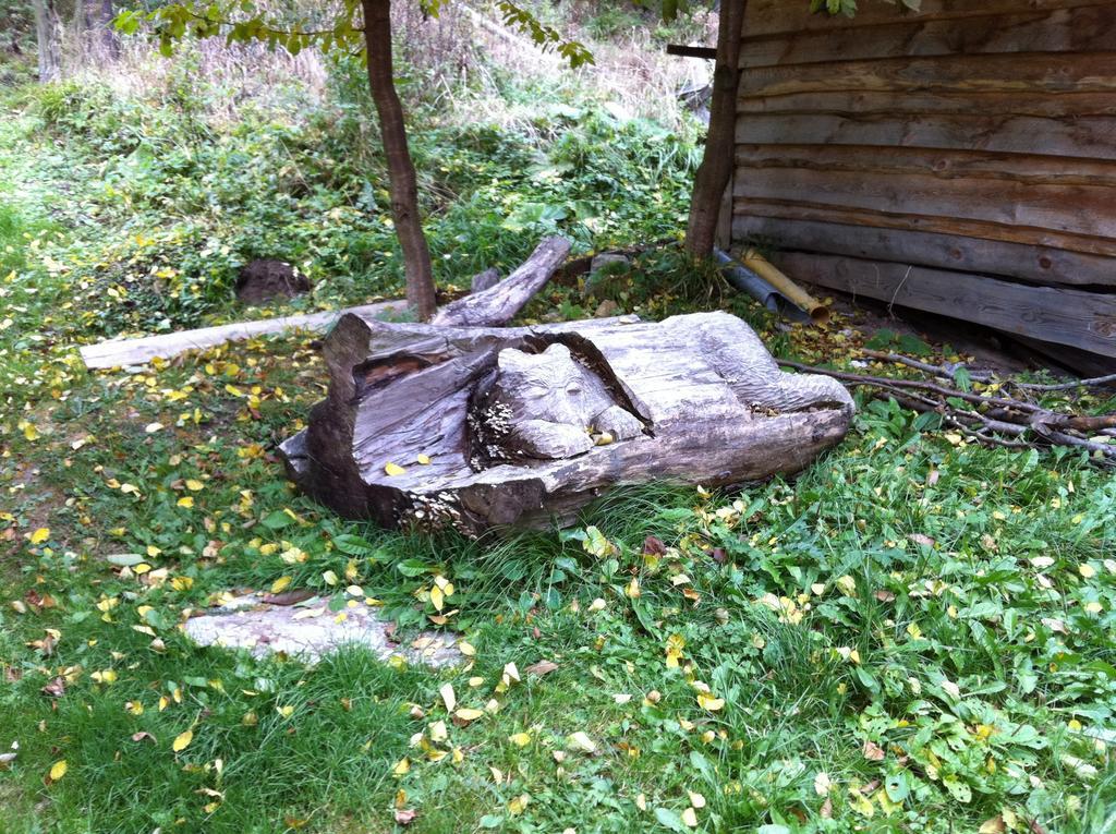 Chata Devena Valča Rom bilde